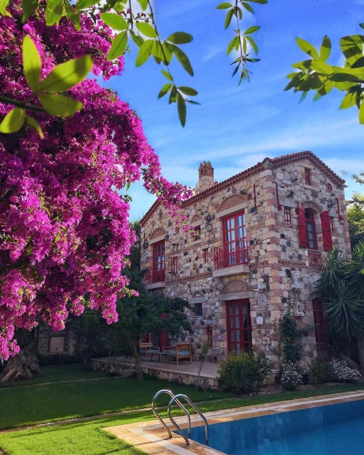 Alacati Zeytin Konak Hotel מראה חיצוני תמונה